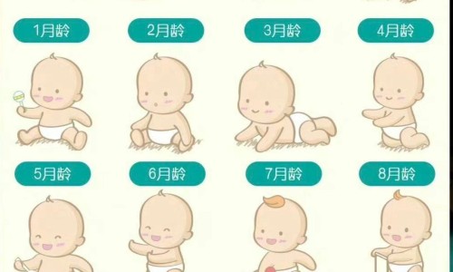地茄子的学名-地茄子的营养成分网- 地茄子有毒吗知识,分享地茄子性味归经