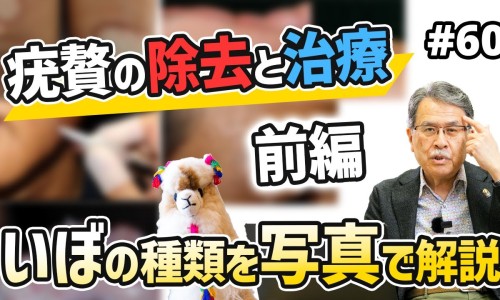 地茄孑的药用功效-地茄子的营养成分网- 地茄子有毒吗知识,分享地茄子性味归经